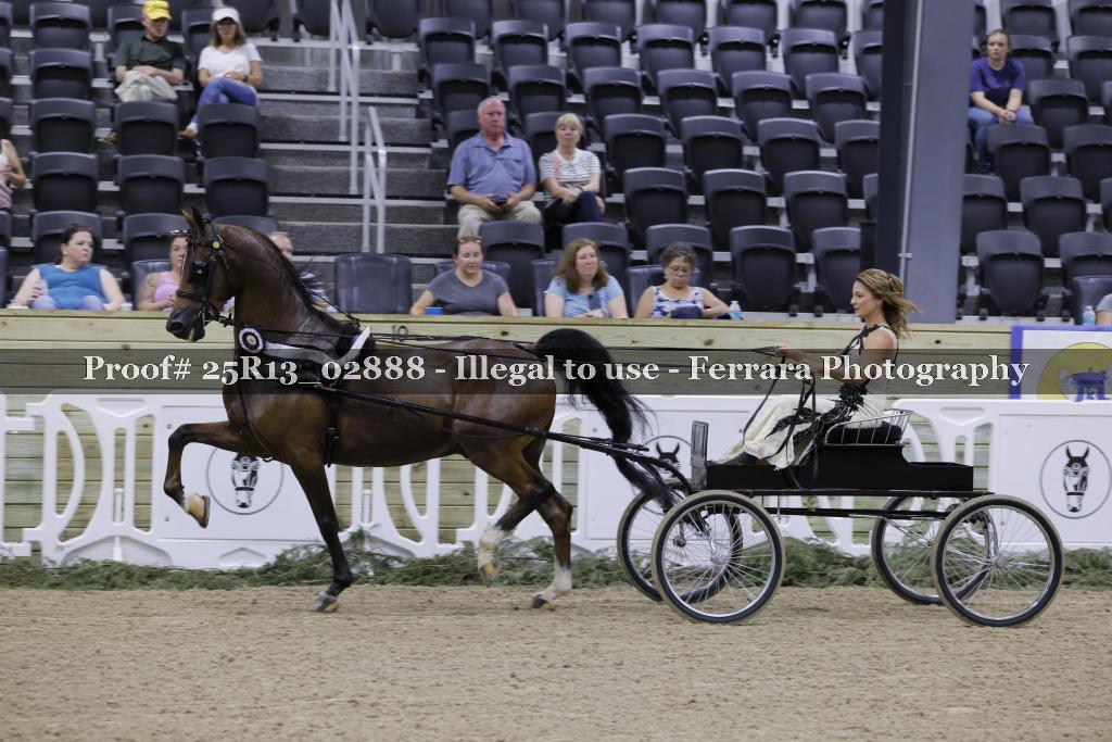 Proof 25R13_02888