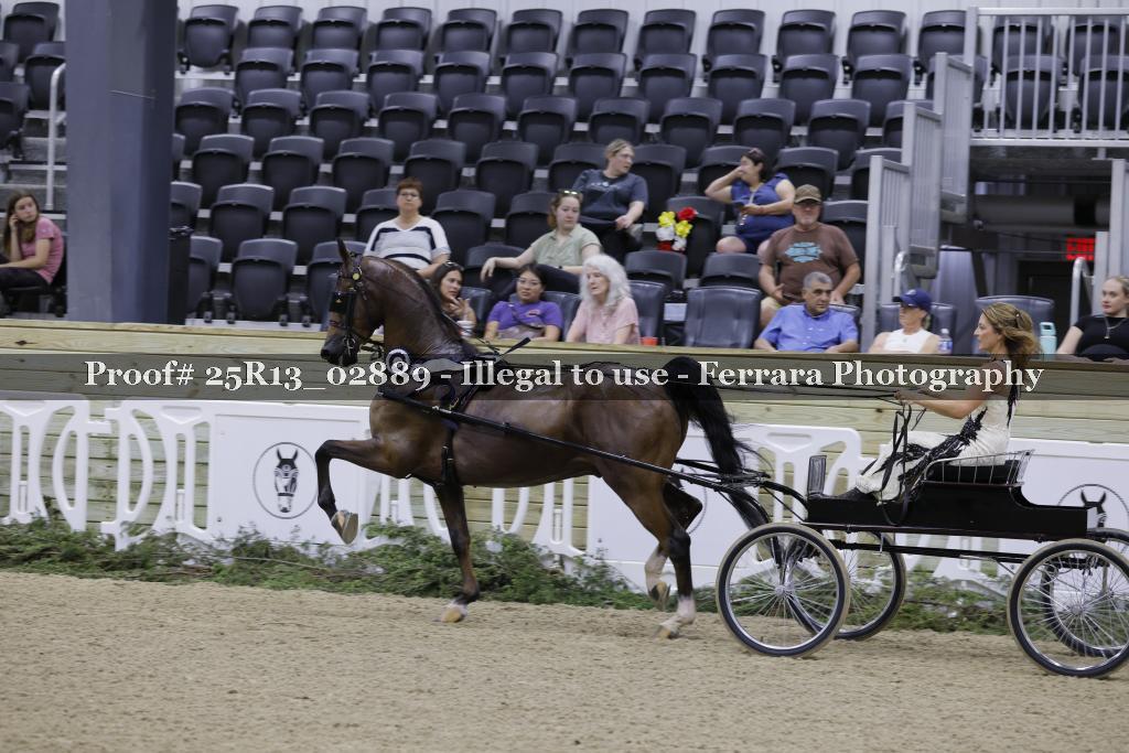 Proof 25R13_02889