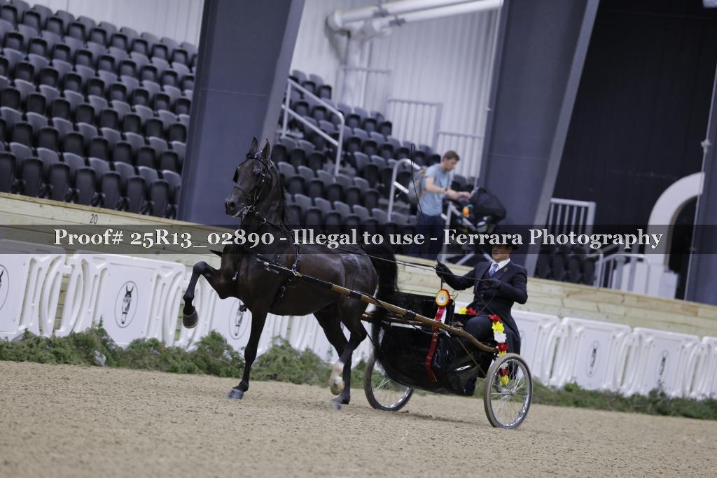 Proof 25R13_02890