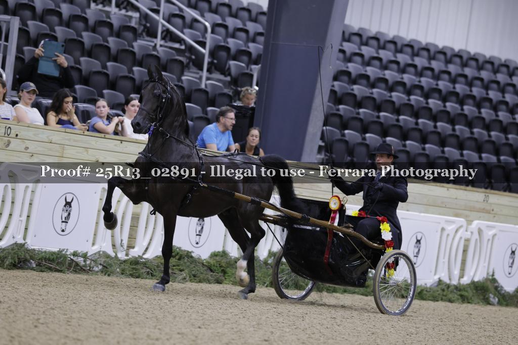 Proof 25R13_02891