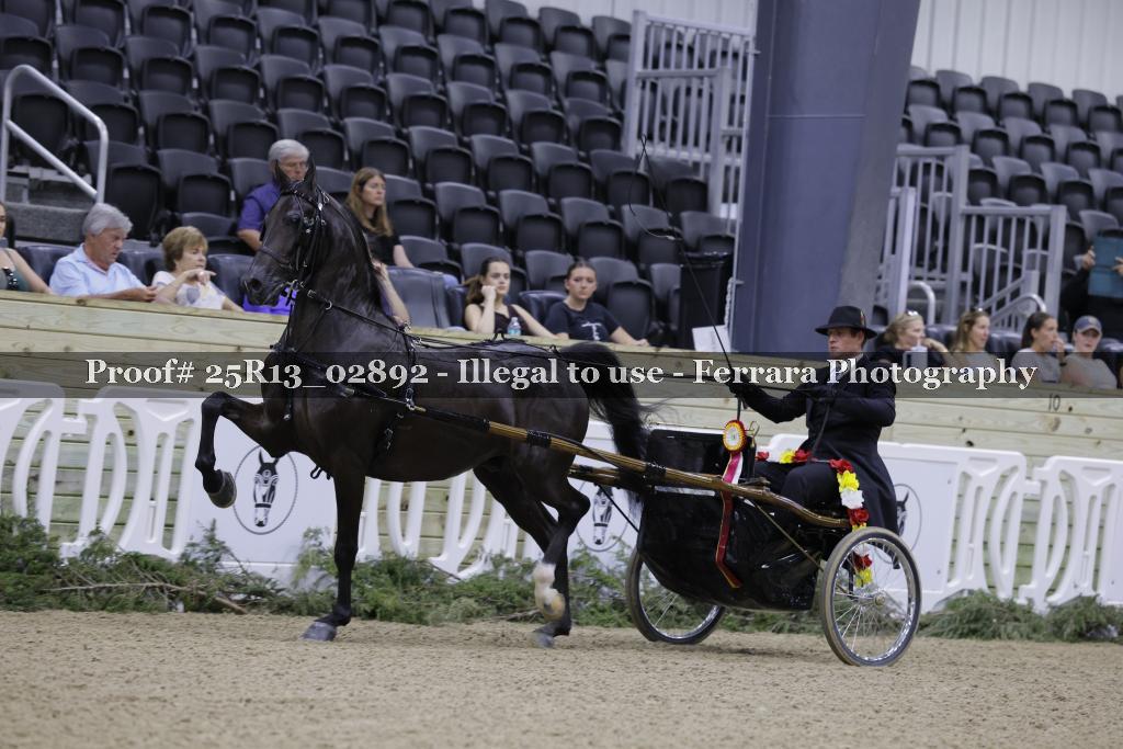 Proof 25R13_02892