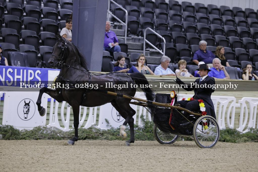 Proof 25R13_02893