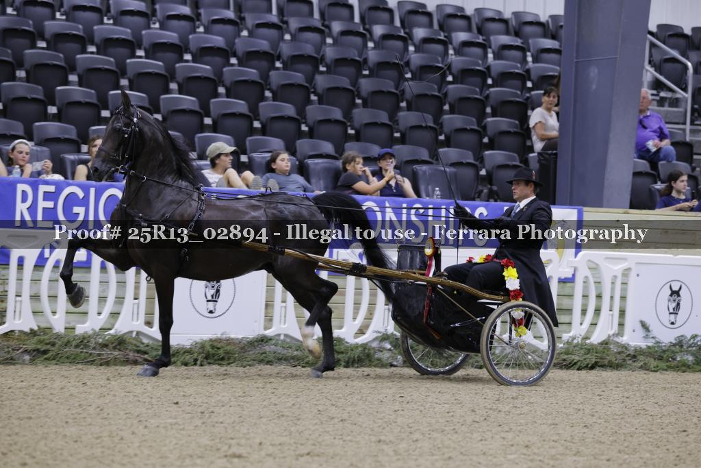 Proof 25R13_02894