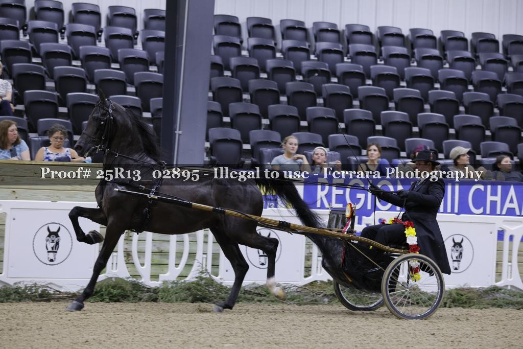 Proof 25R13_02895