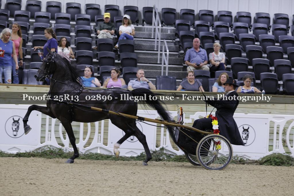 Proof 25R13_02896