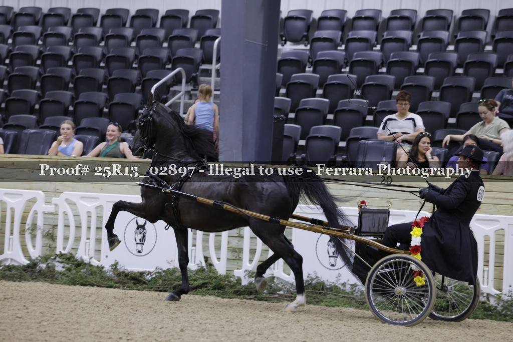 Proof 25R13_02897