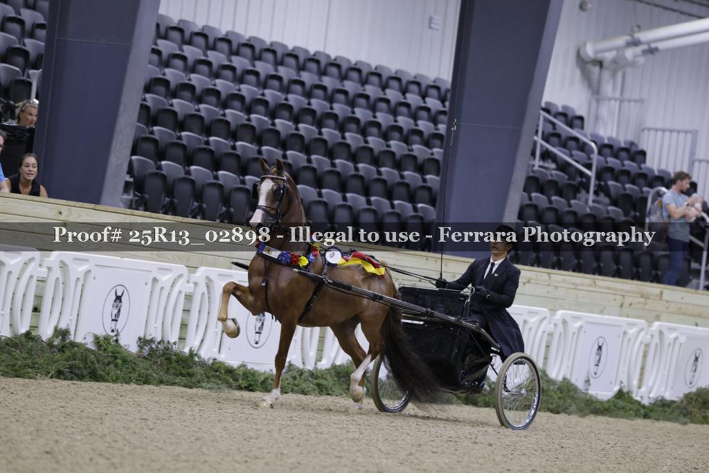 Proof 25R13_02898