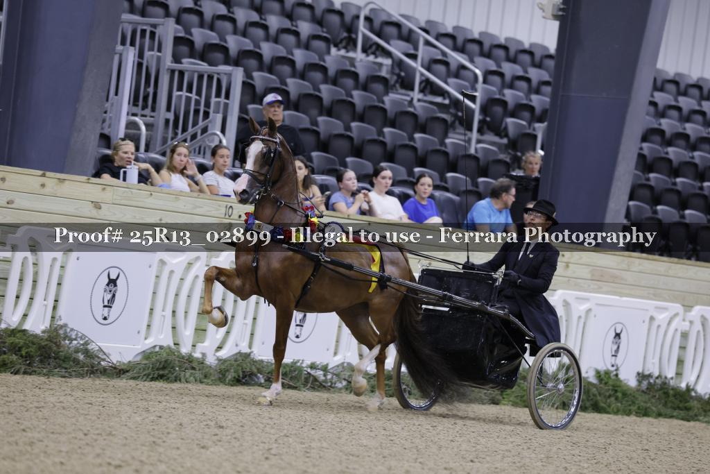 Proof 25R13_02899