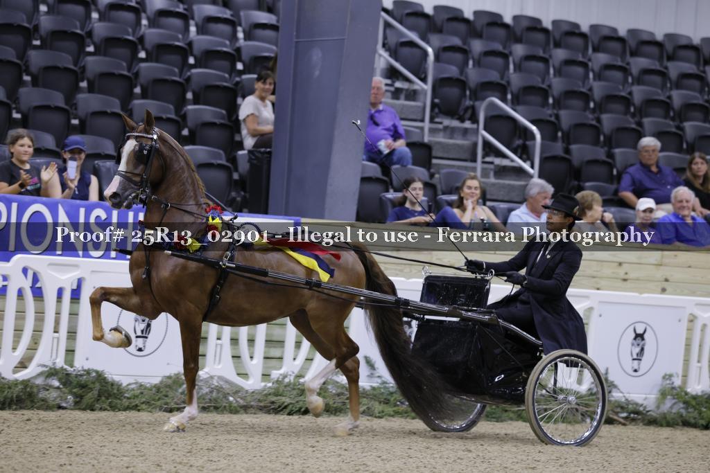 Proof 25R13_02901