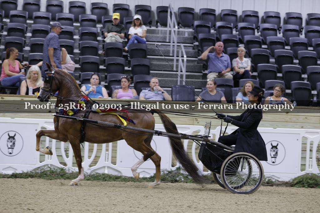 Proof 25R13_02903