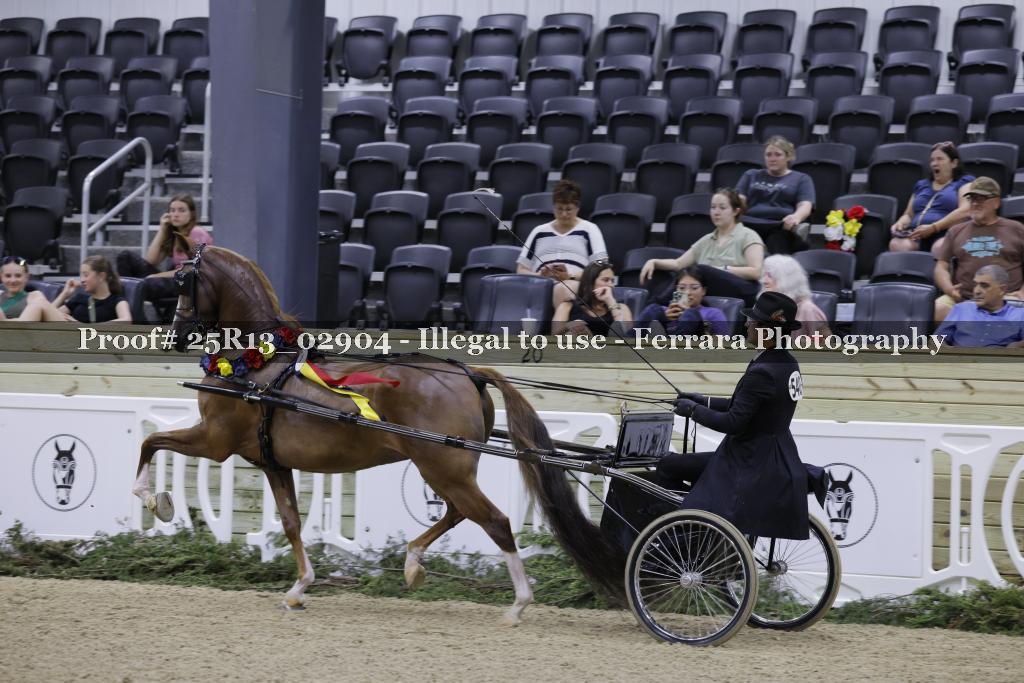 Proof 25R13_02904