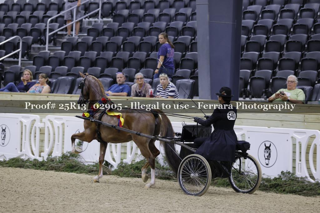 Proof 25R13_02905