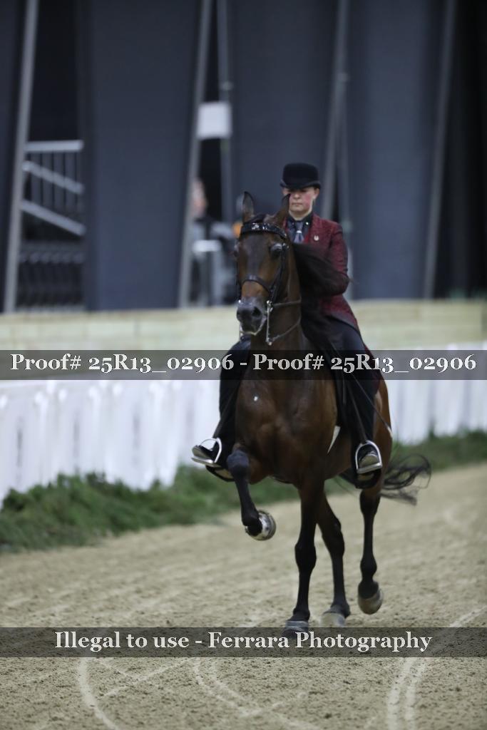 Proof 25R13_02906