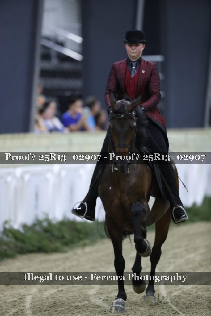 Proof 25R13_02907