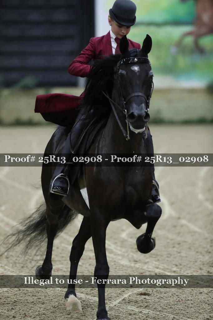 Proof 25R13_02908