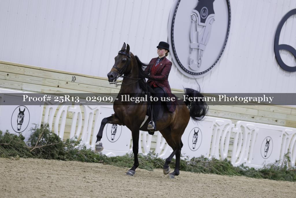 Proof 25R13_02909