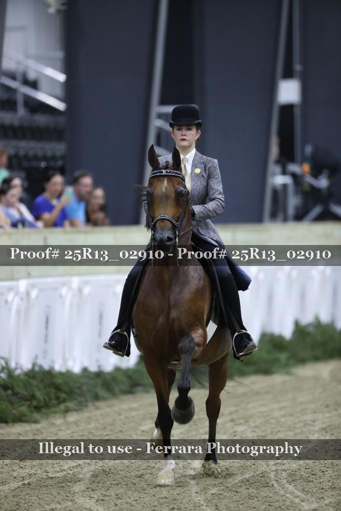 Proof 25R13_02910