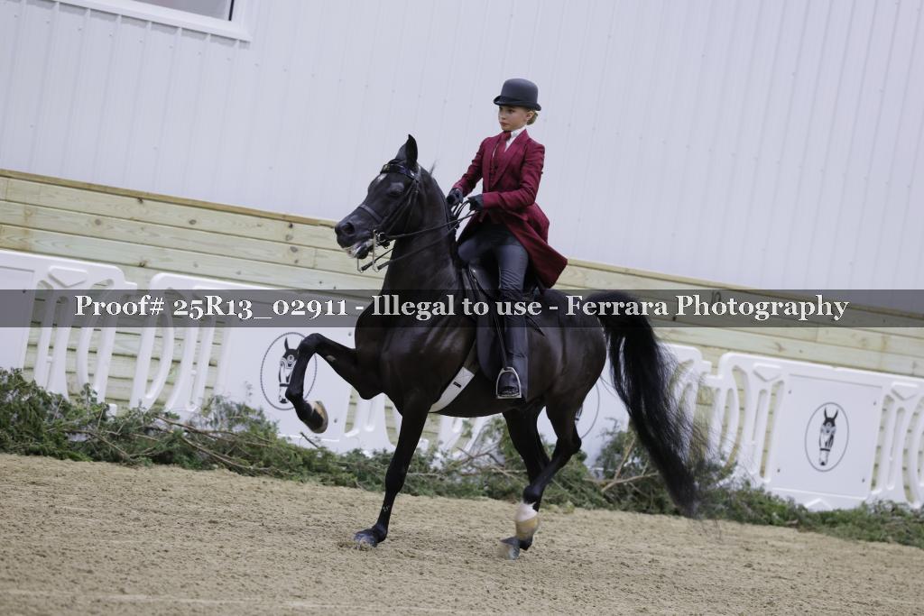 Proof 25R13_02911