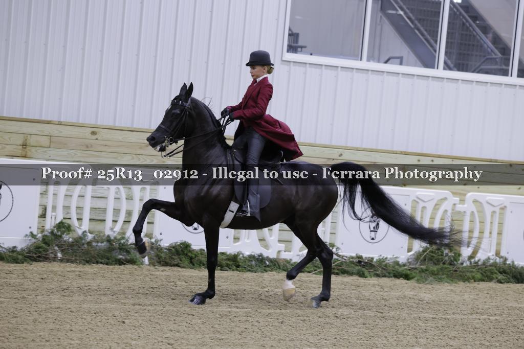 Proof 25R13_02912