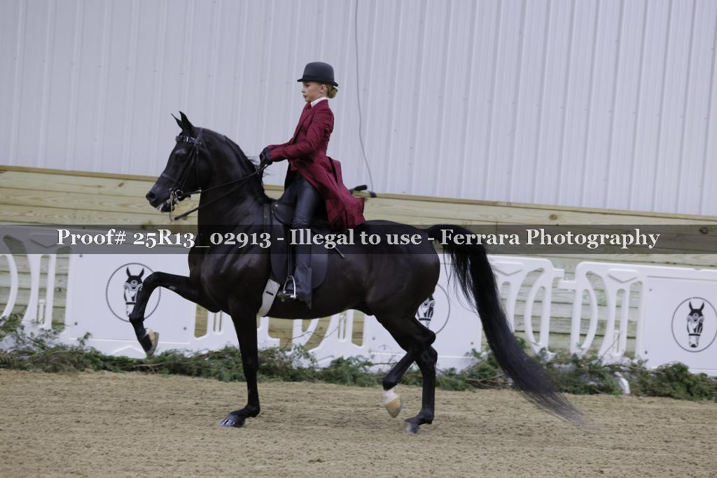 Proof 25R13_02913