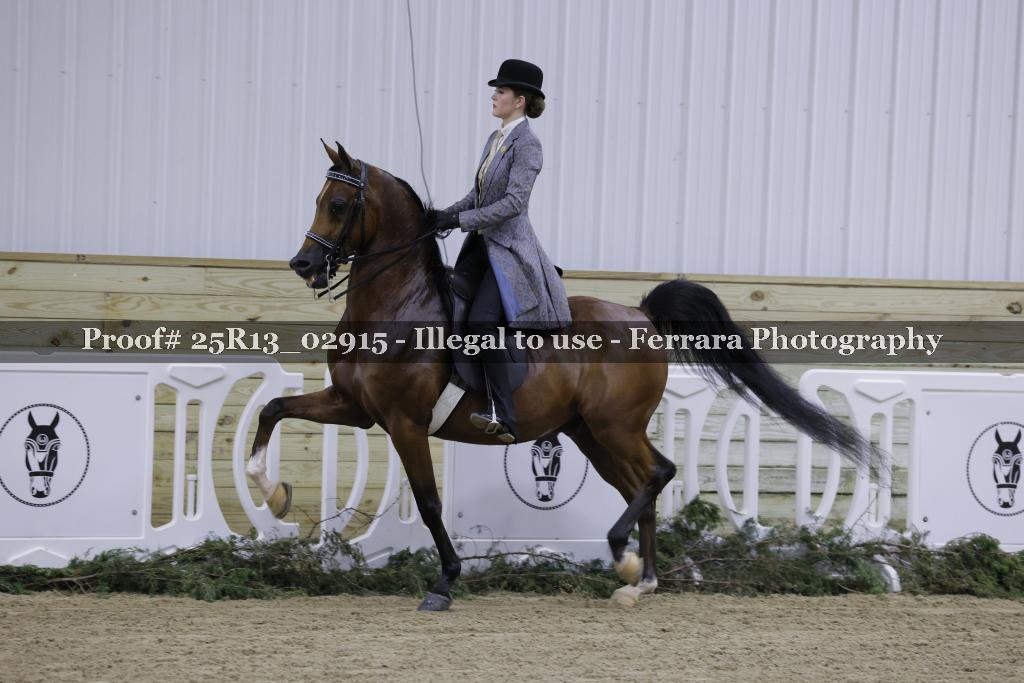 Proof 25R13_02915
