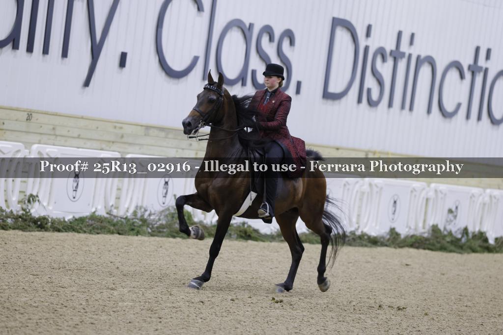 Proof 25R13_02916