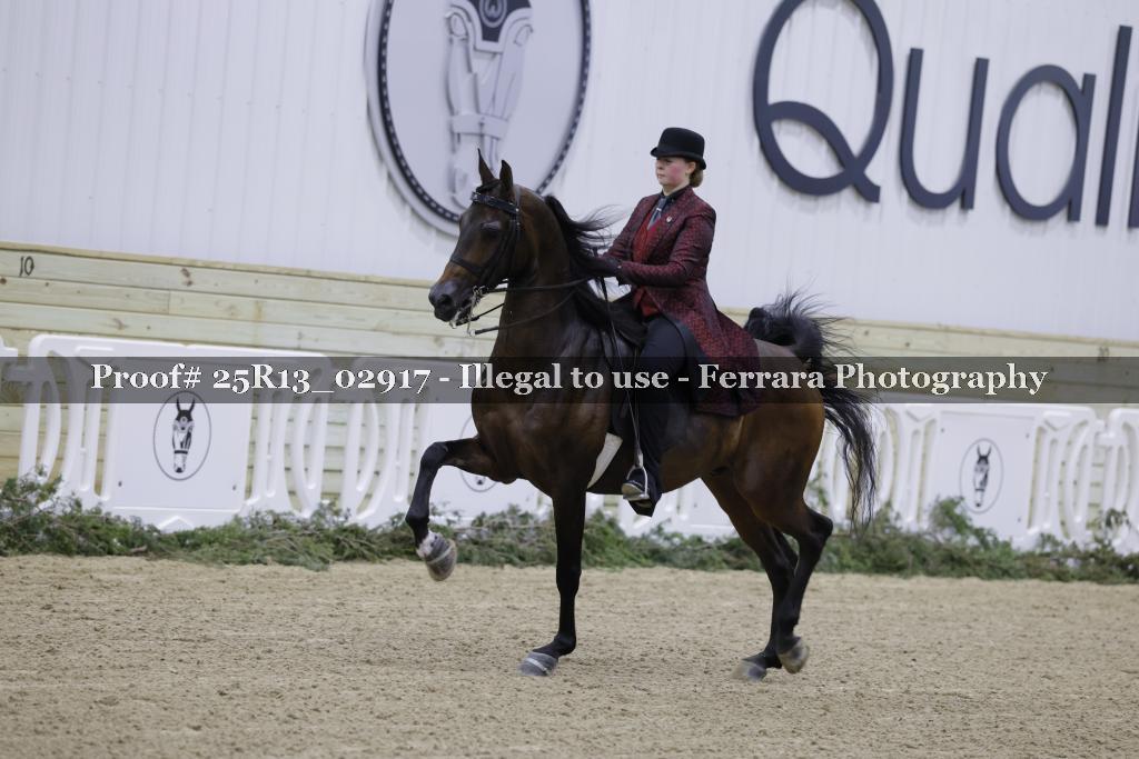 Proof 25R13_02917