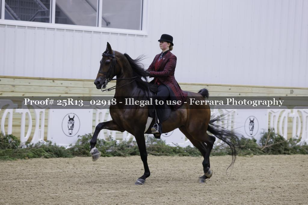 Proof 25R13_02918