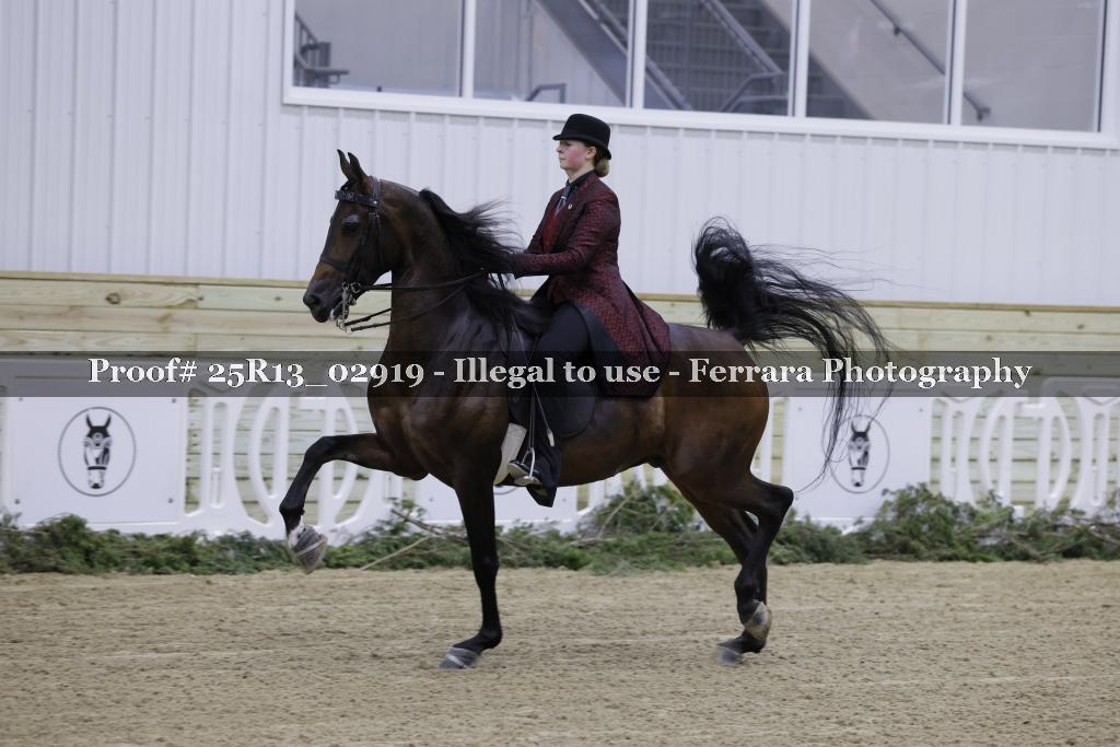 Proof 25R13_02919