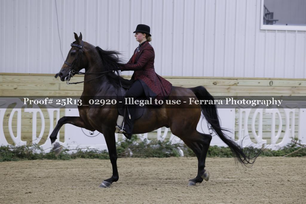 Proof 25R13_02920