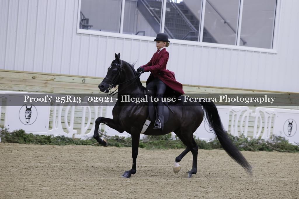 Proof 25R13_02921
