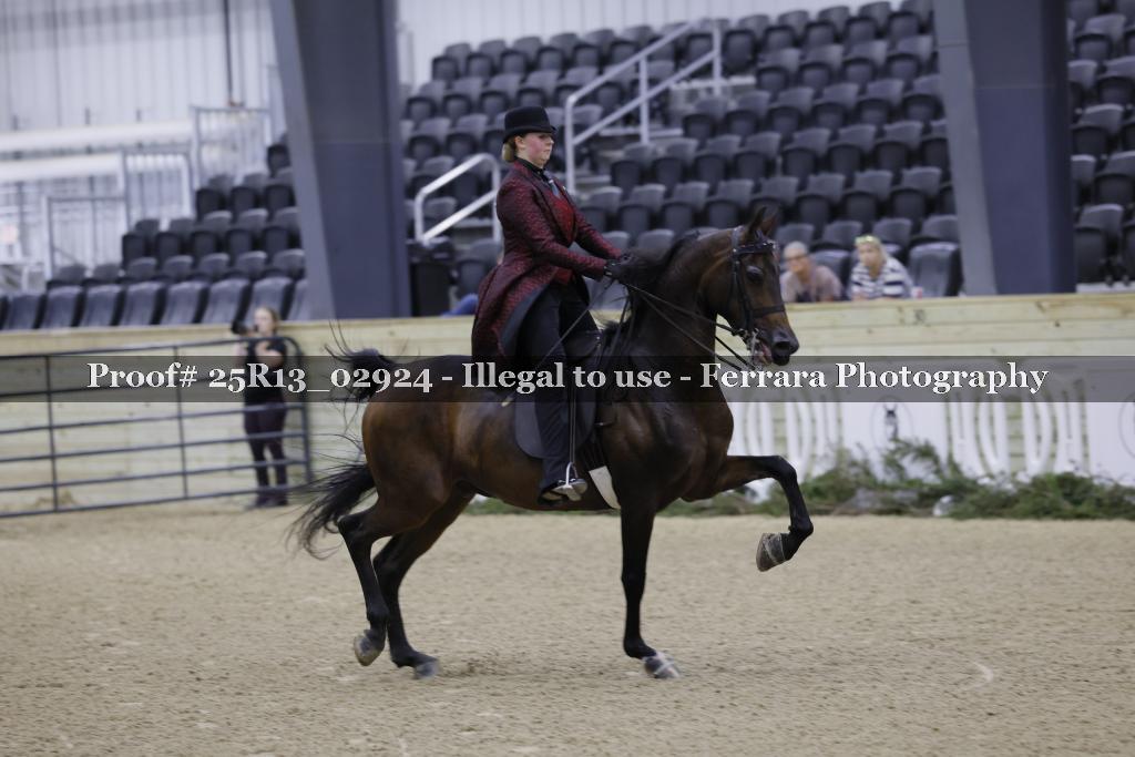 Proof 25R13_02924
