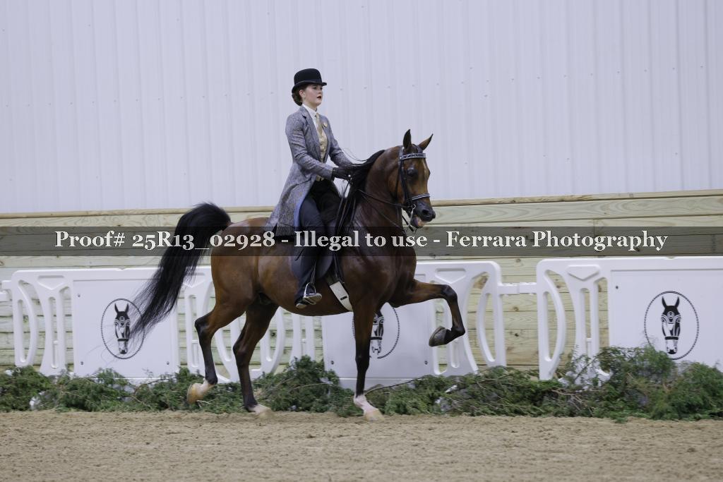 Proof 25R13_02928