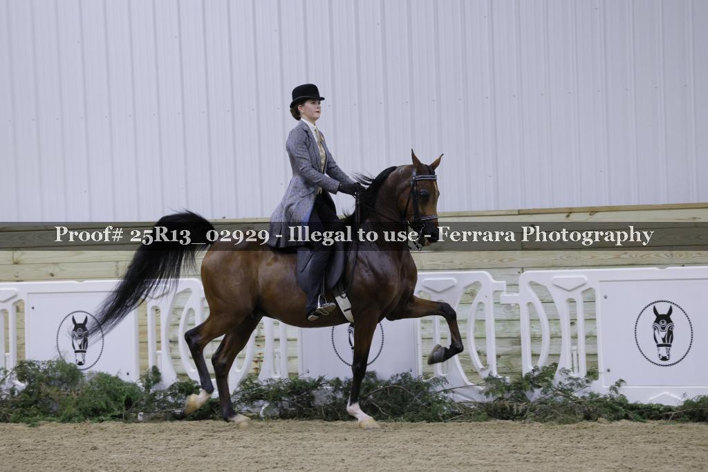 Proof 25R13_02929