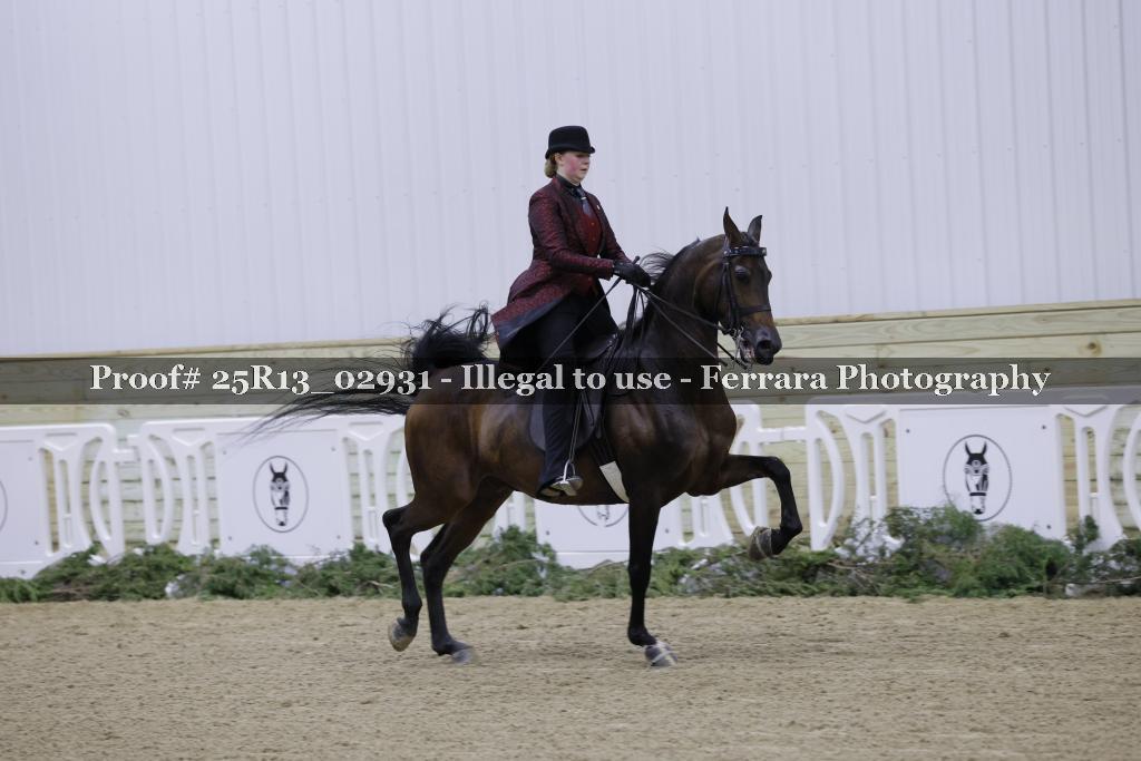 Proof 25R13_02931