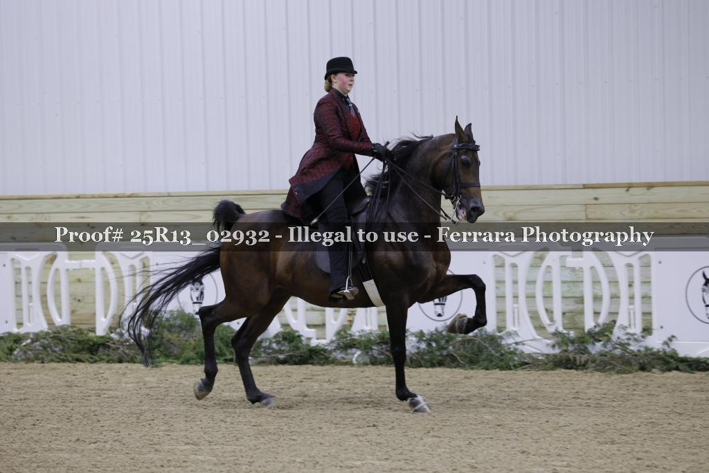Proof 25R13_02932