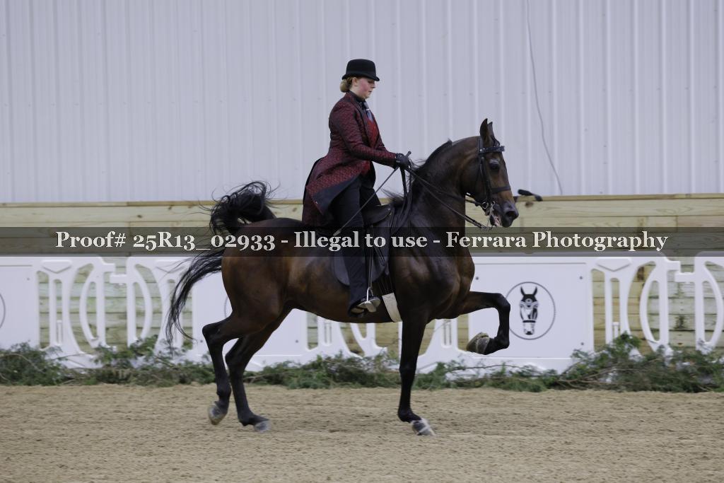 Proof 25R13_02933