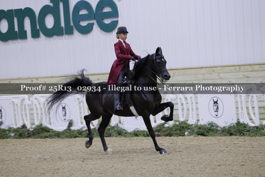 Proof 25R13_02934
