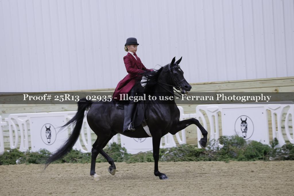 Proof 25R13_02935