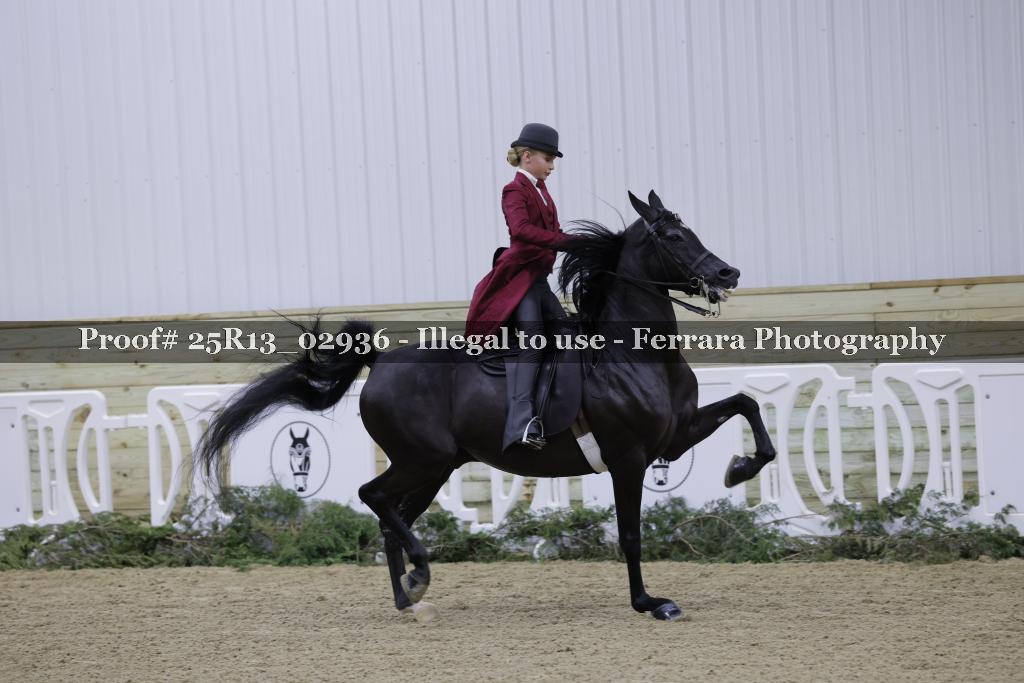 Proof 25R13_02936