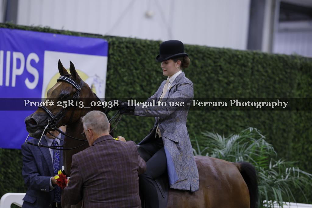 Proof 25R13_02938
