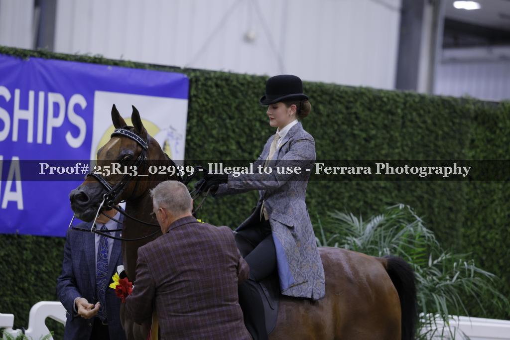 Proof 25R13_02939