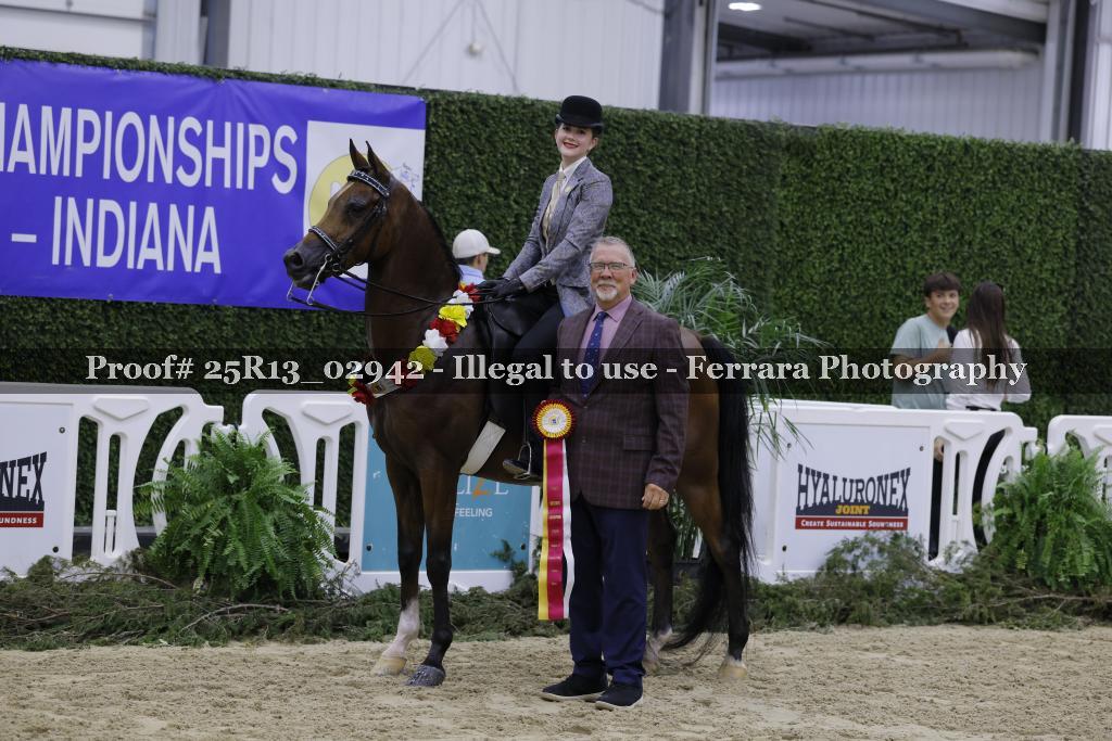 Proof 25R13_02942