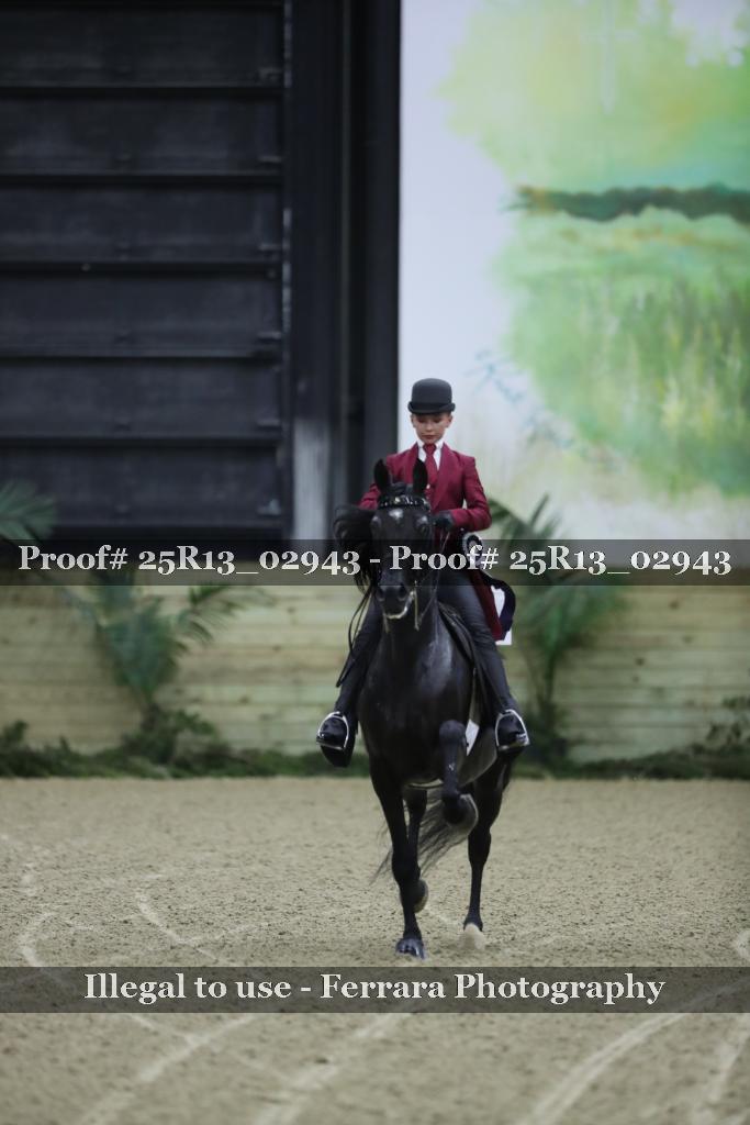 Proof 25R13_02943