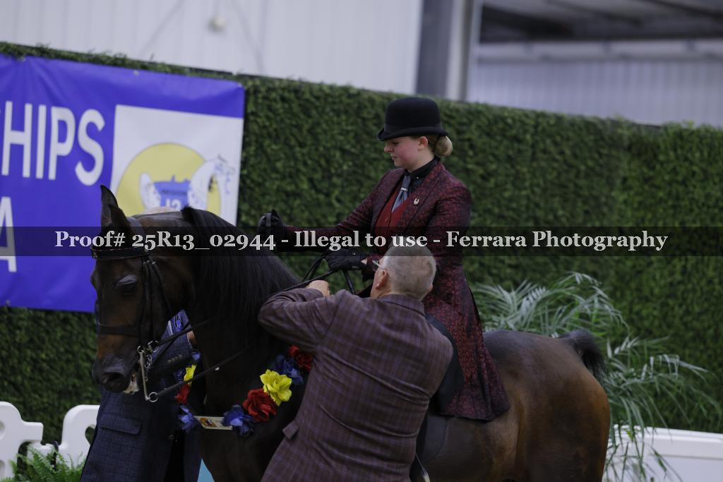 Proof 25R13_02944