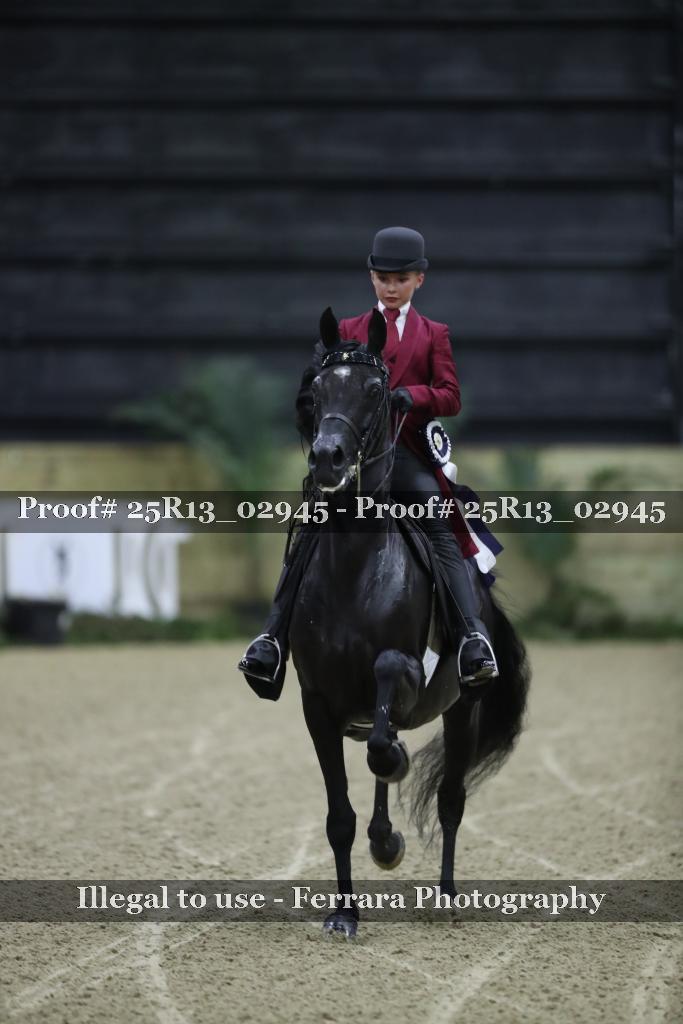 Proof 25R13_02945