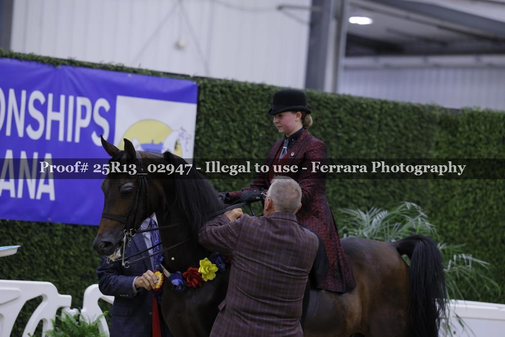 Proof 25R13_02947