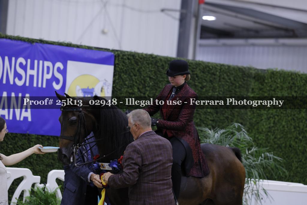Proof 25R13_02948