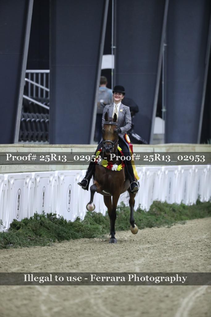 Proof 25R13_02953