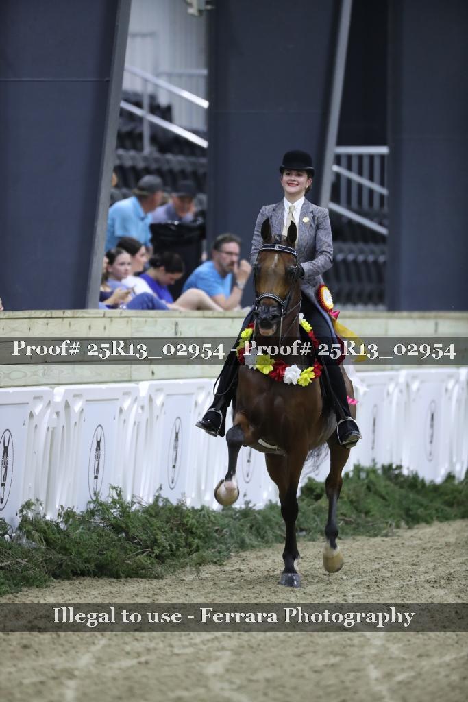 Proof 25R13_02954
